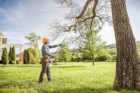 Best Tree Removal  in Bartlett, TN